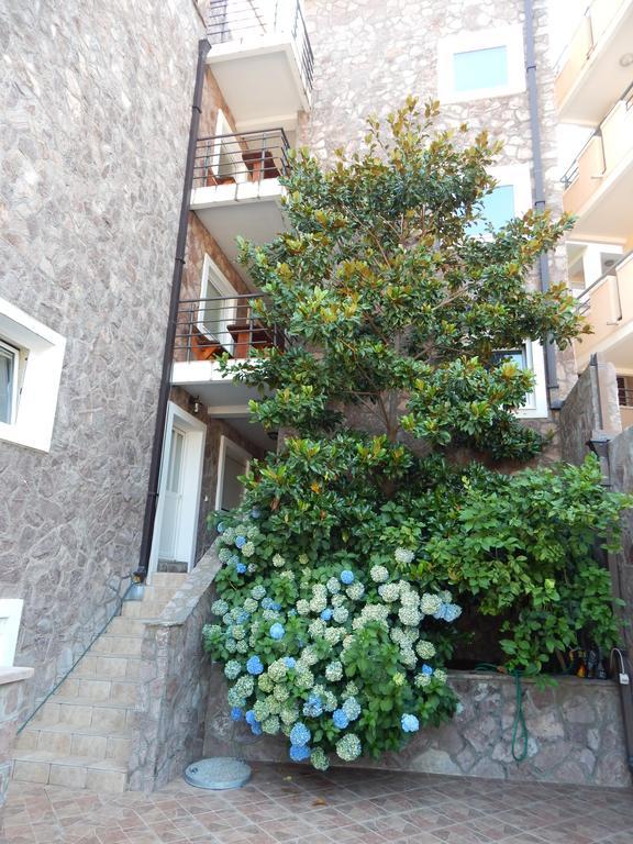 Contessa Budva
