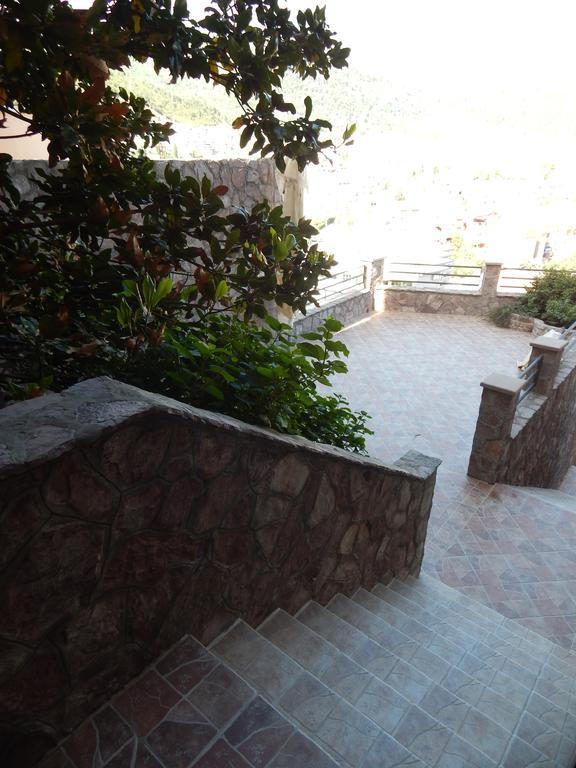 Contessa Budva